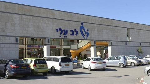 לב עלי.jpg