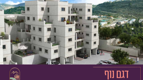 תוכניות טופ עלי (26).png