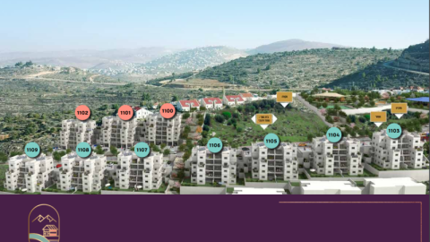 תוכניות טופ עלי (13).png
